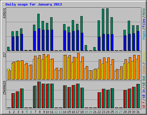Daily usage for January 2013
