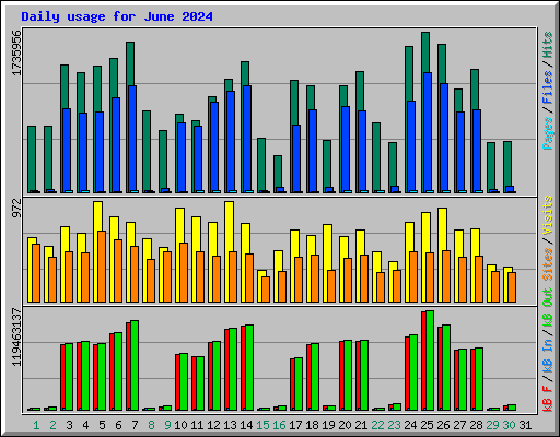 Daily usage for June 2024