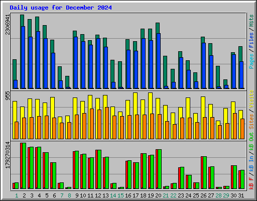 Daily usage for December 2024