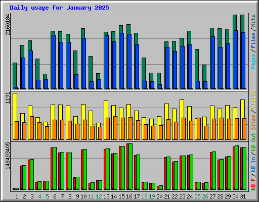 Daily usage for January 2025