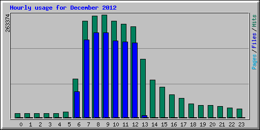 Hourly usage for December 2012