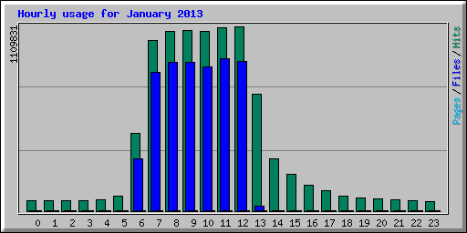 Hourly usage for January 2013