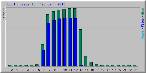 Hourly usage for February 2013