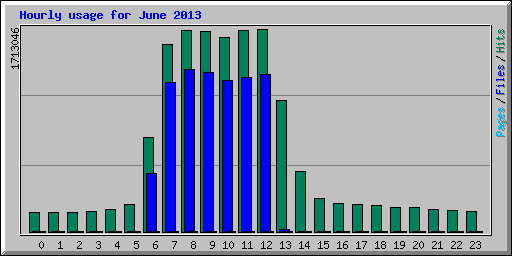 Hourly usage for June 2013