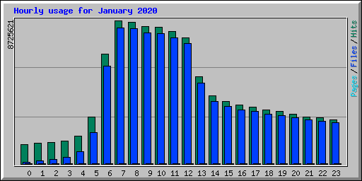 Hourly usage for January 2020