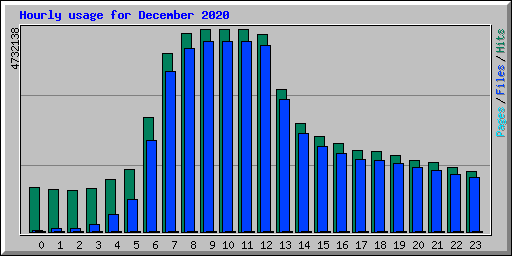 Hourly usage for December 2020