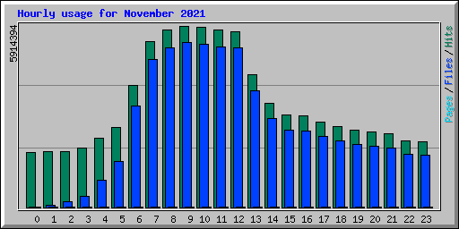 Hourly usage for November 2021