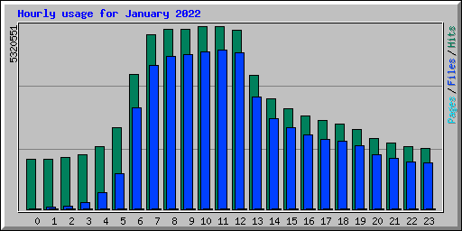 Hourly usage for January 2022