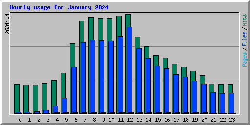 Hourly usage for January 2024