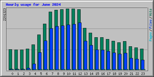 Hourly usage for June 2024