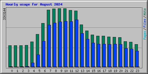 Hourly usage for August 2024