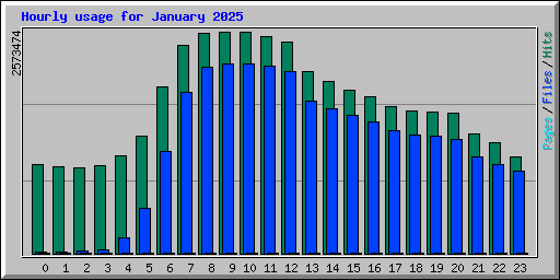 Hourly usage for January 2025