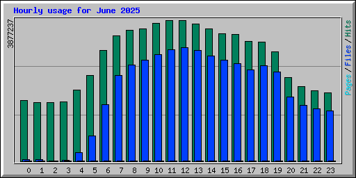 Hourly usage for June 2025