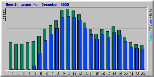 Hourly usage for December 2025