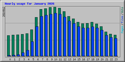Hourly usage for January 2026